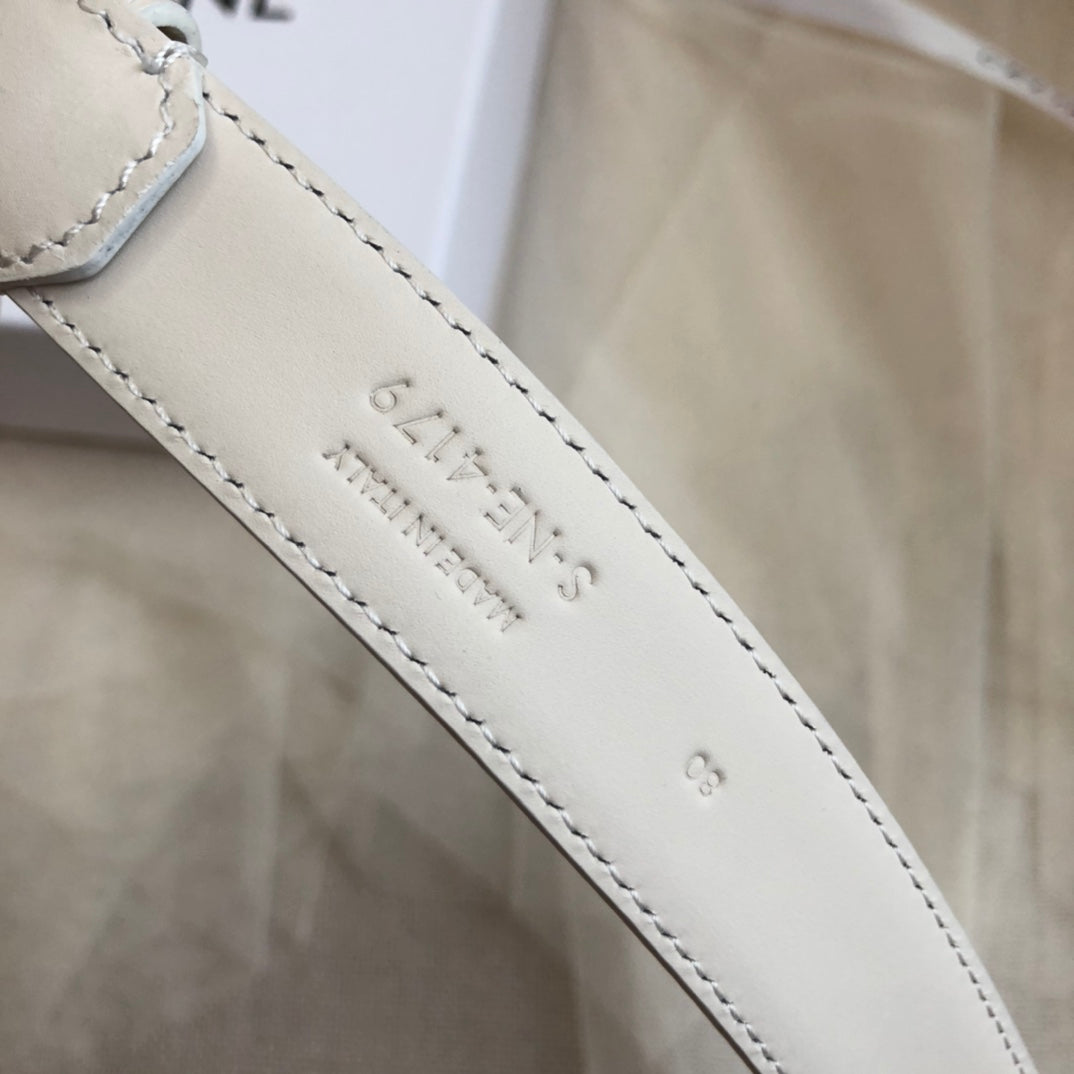 CELINE 25S BELT 25MM IN LIGHT GRAY CALFSKIN GOLD HARDWARE 562439