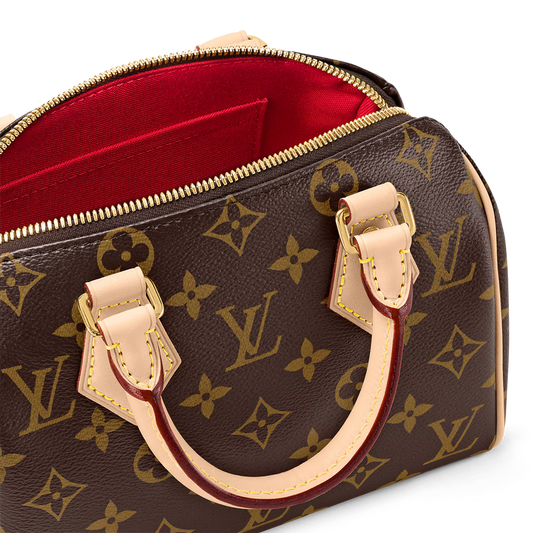 LV Speedy 20 Bag