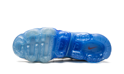 Air VaporMax Plus DV2119 100