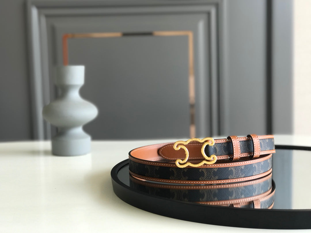 CELINE 25S BELT TRIOMPHE 25MM IN BROWN CALFSKIN AND CANVAS 559678