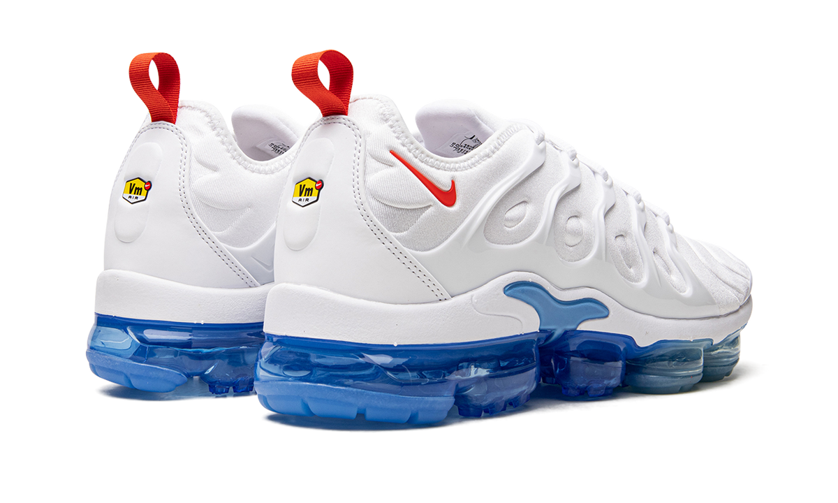 Air VaporMax Plus DV2119 100