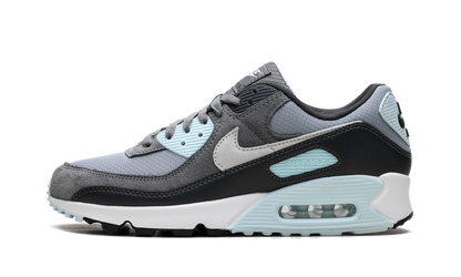 Air Max 90 "Pumice" DM0029 009