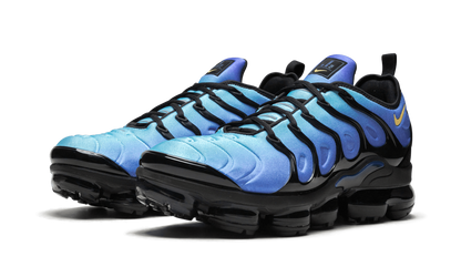 Air Vapormax Plus "Original Fade" 924453 008
