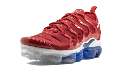 Air Vapormax Plus 924453 601