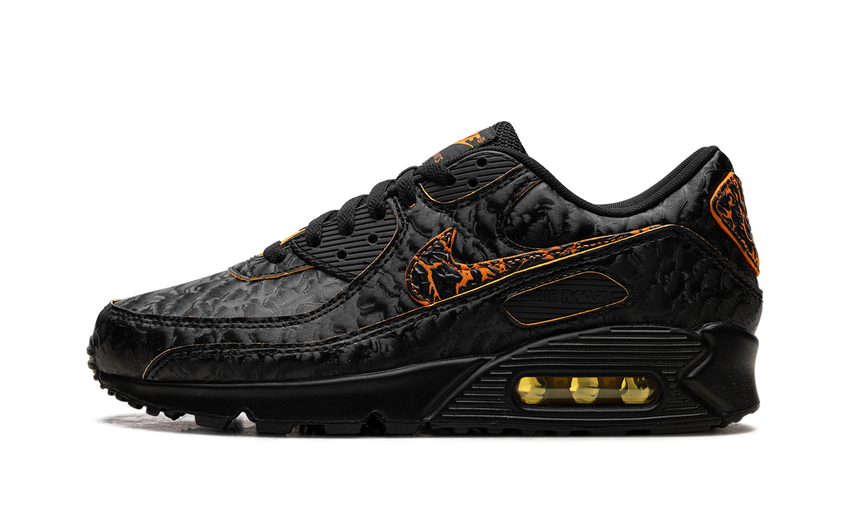 Air Max 90 "Volcano" HF3248 001