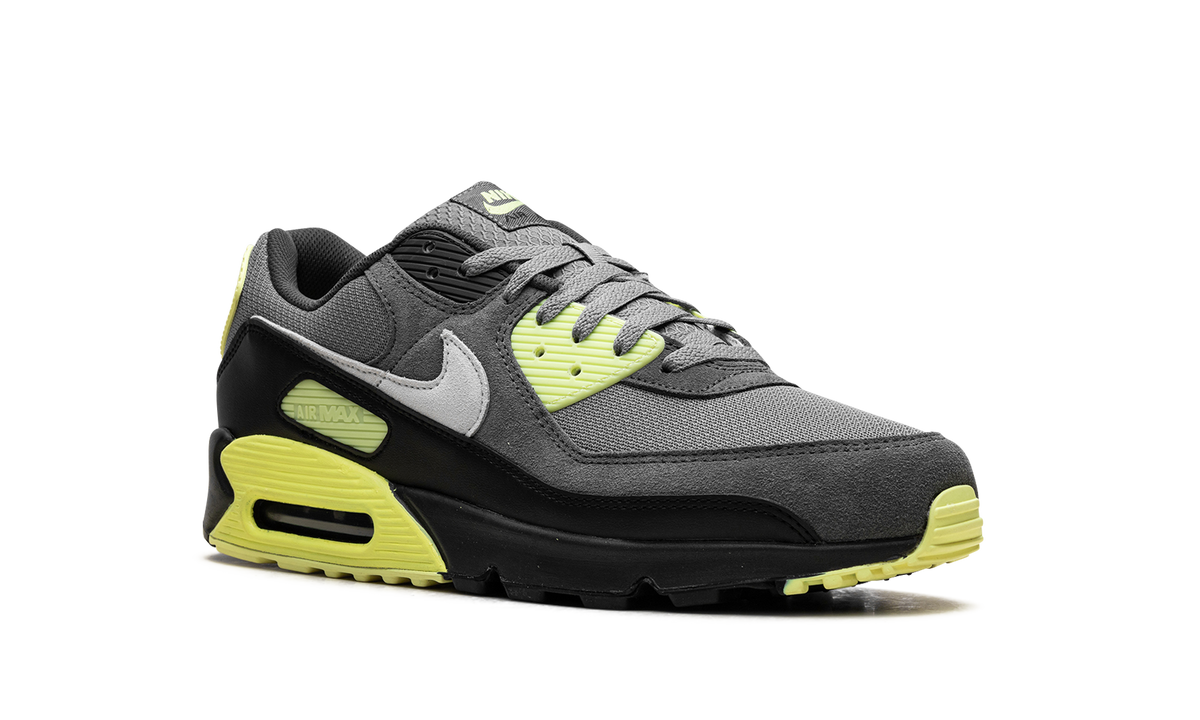 Air Max 90 "Smoke Grey Light Lemon Twist" DM0029 012