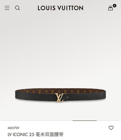 LOUIS VUITTON LV ICONIC 25 MM IN BROWN DAMIER CALFSKIN SILVER HARDWARE