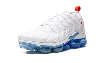 Air VaporMax Plus DV2119 100